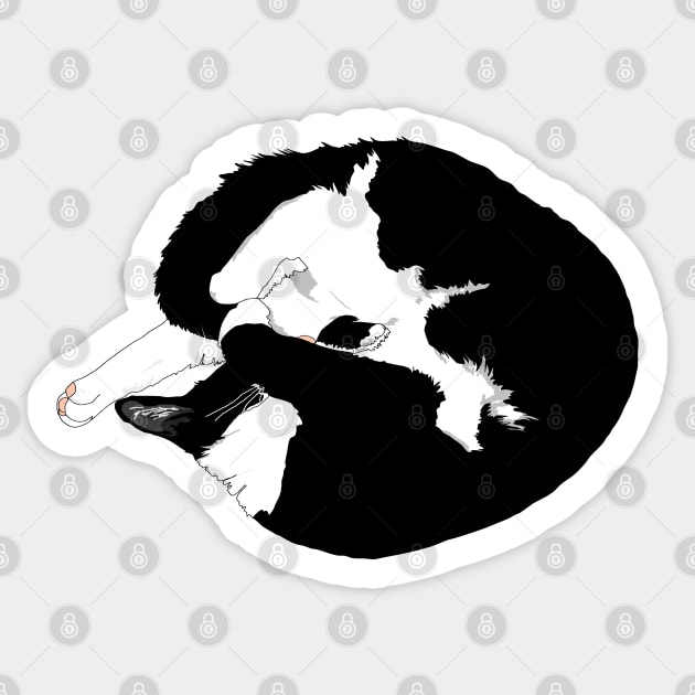 Cute Tuxedo cat sleeping Kitty Pie. Donut eat me  Copyright TeAnne Sticker by TeAnne